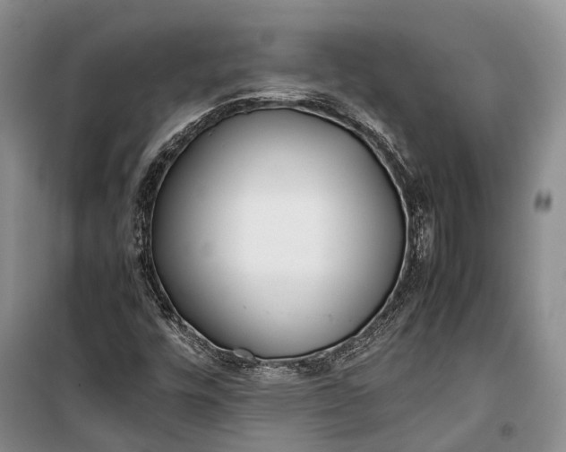 X0000100221448200806131304