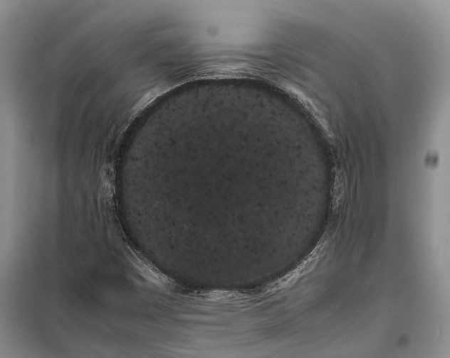 X0000100221449200806131304