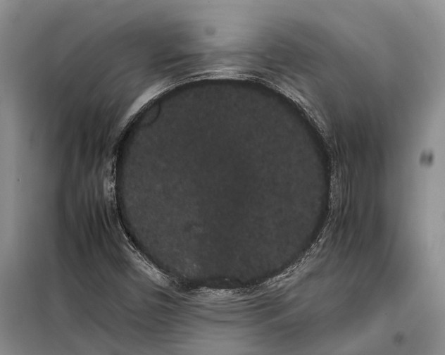 X0000100221450200806131304