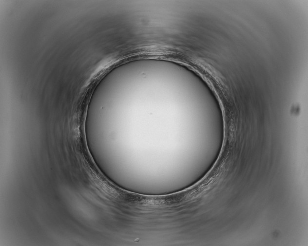 X0000100221451200806131304