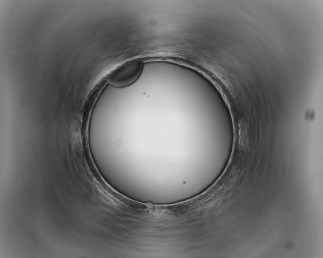 X0000100221452200806131304