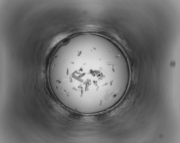 X0000100221453200806131304