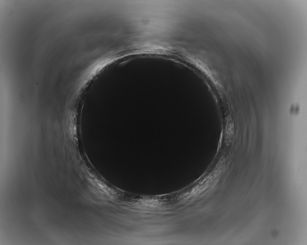 X0000100221455200806131304