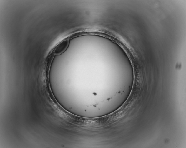 X0000100221456200806131304