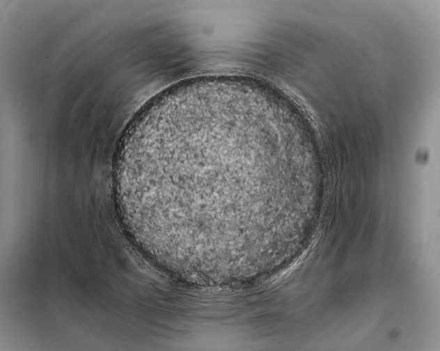 X0000100221457200806131304