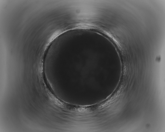 X0000100221459200806131304