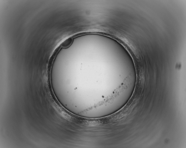 X0000100221460200806131304