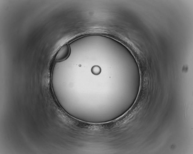 X0000100221461200806131304