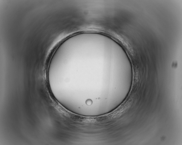 X0000100221462200806131304