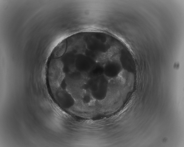 X0000100221463200806131304