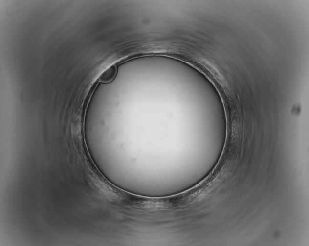 X0000100221465200806131304