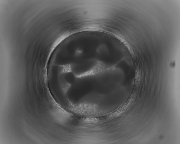 X0000100221466200806131304