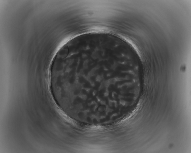 X0000100221467200806131304