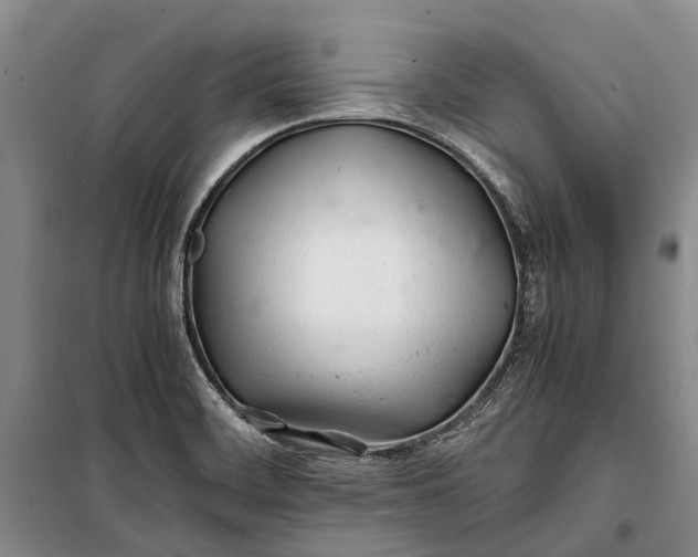 X0000100221468200806131304