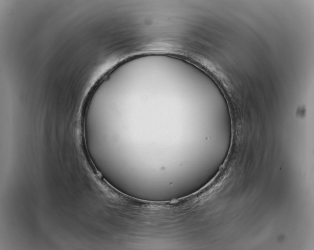 X0000100221469200806131304