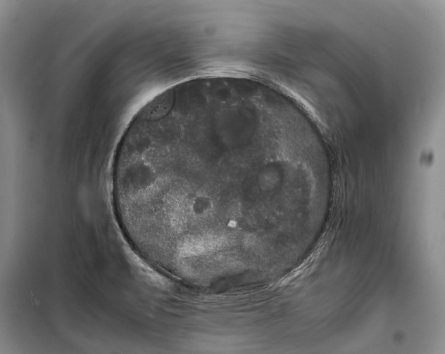 X0000100221471200806131303