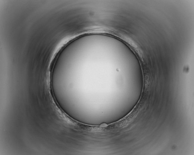 X0000100221472200806131303