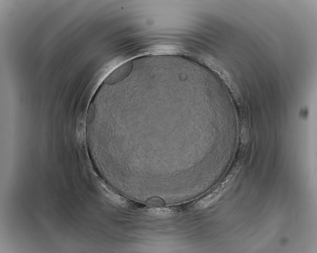 X0000100221473200806131303