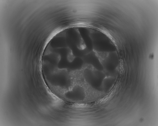 X0000100221474200806131303