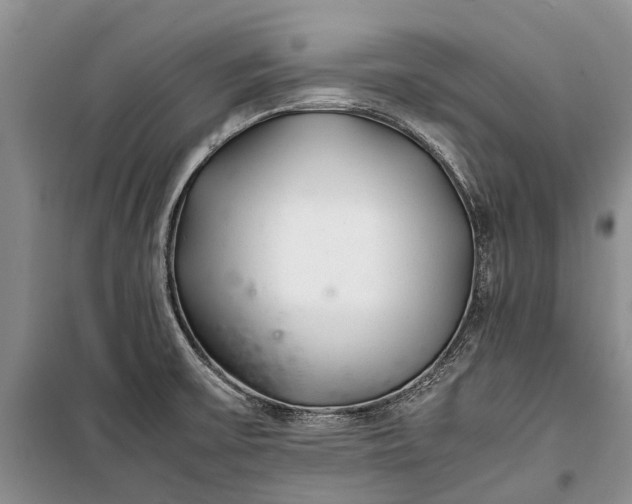 X0000100221475200806131303