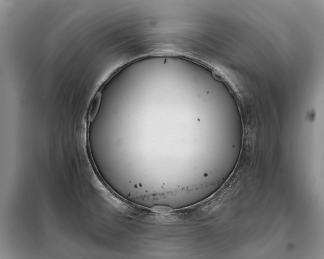 X0000100221476200806131303