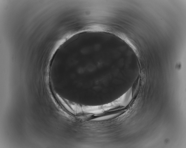 X0000100221477200806131303