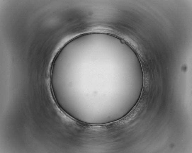 X0000100221478200806131303