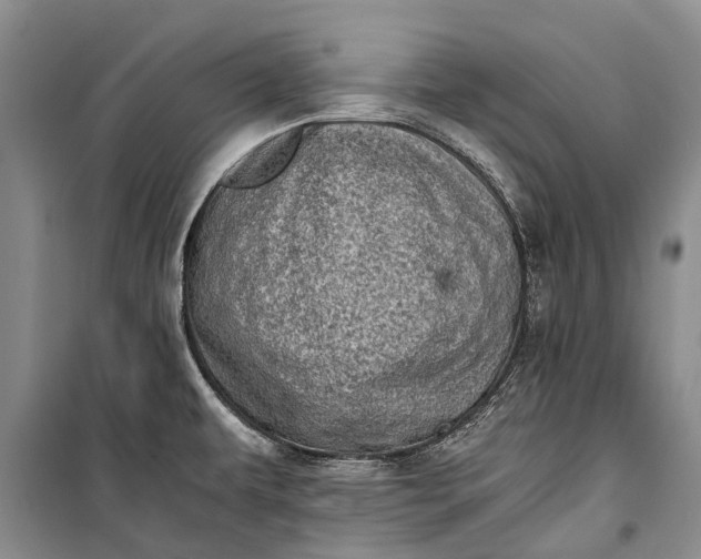 X0000100221479200806131303