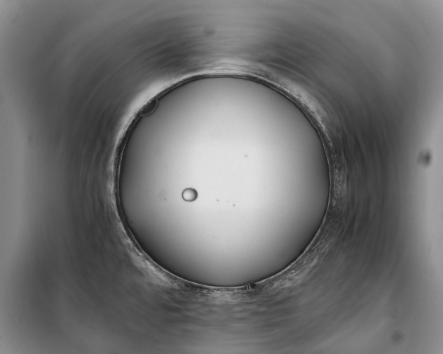 X0000100221480200806131303