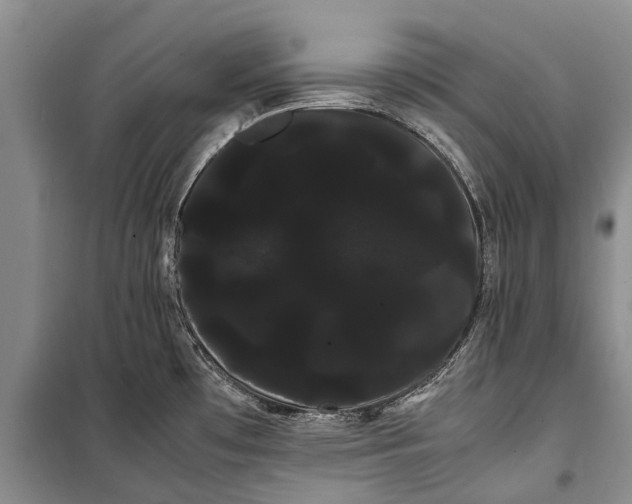 X0000100221481200806131303