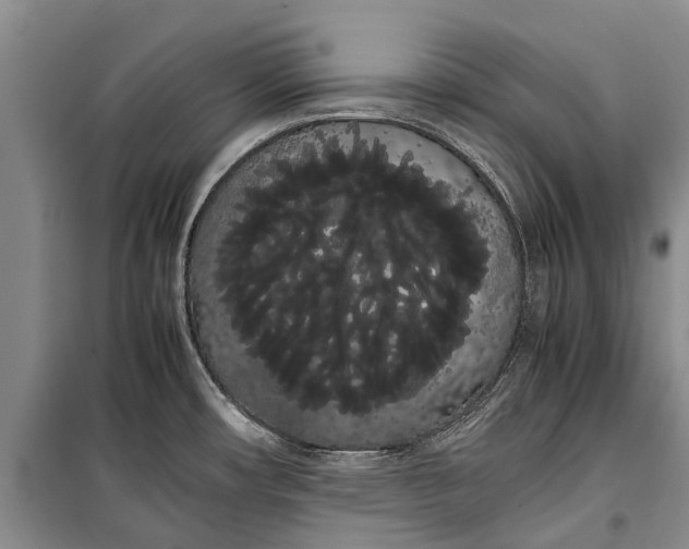 X0000100221482200806131303