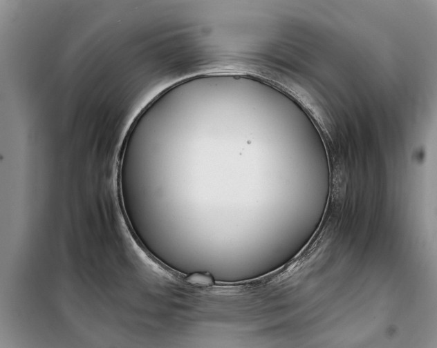 X0000100221484200806131303