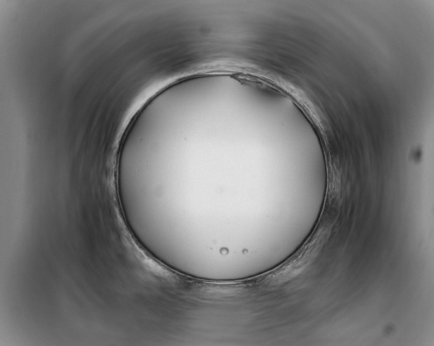 X0000100221486200806131303