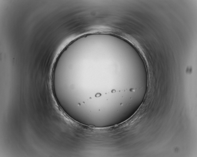 X0000100221488200806131303