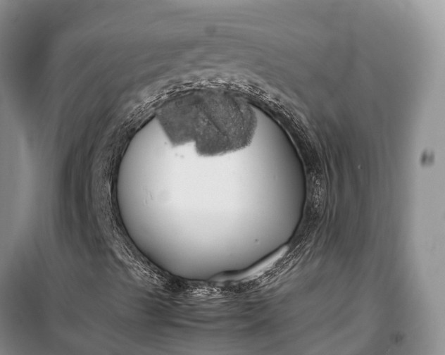 X0000100221489200806131302