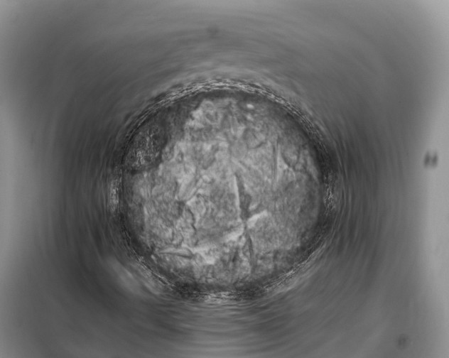 X0000100221490200806131302