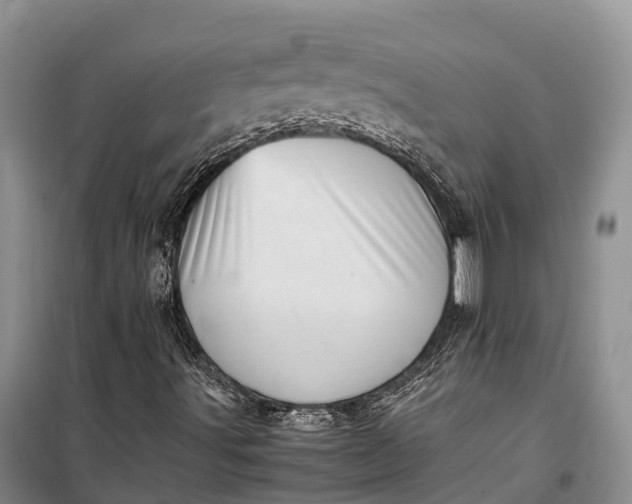 X0000100221491200806131302