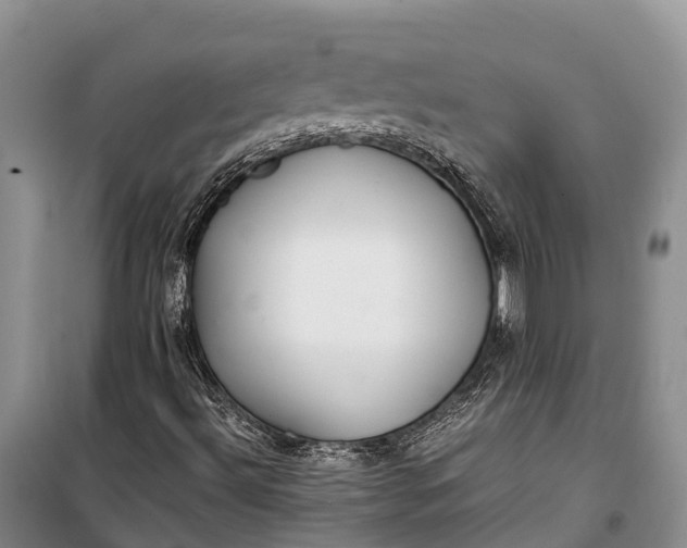 X0000100221492200806131302