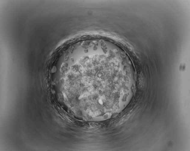 X0000100221494200806131302