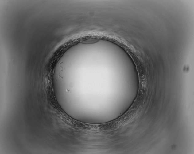 X0000100221495200806131302