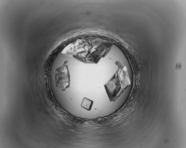 X0000100221496200806131302