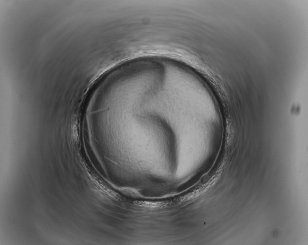 X0000100221497200806131302