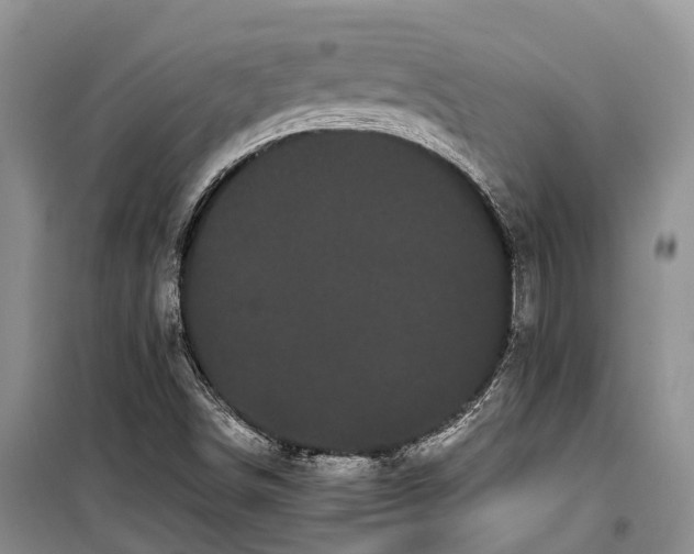 X0000100221498200806131302