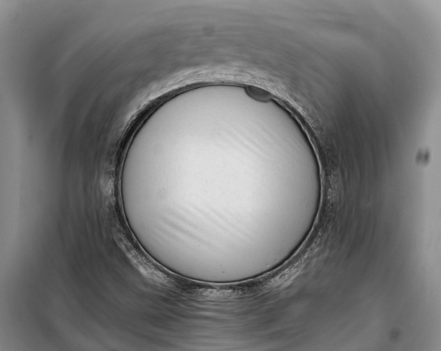 X0000100221499200806131302