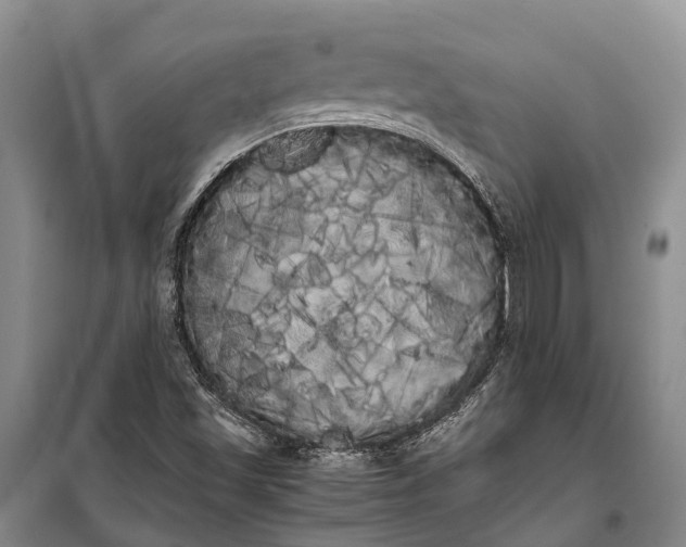 X0000100221501200806131302