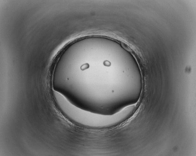 X0000100221502200806131302