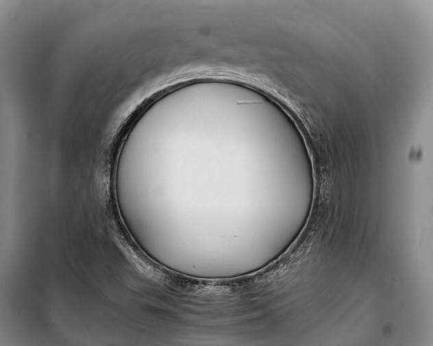 X0000100221503200806131303