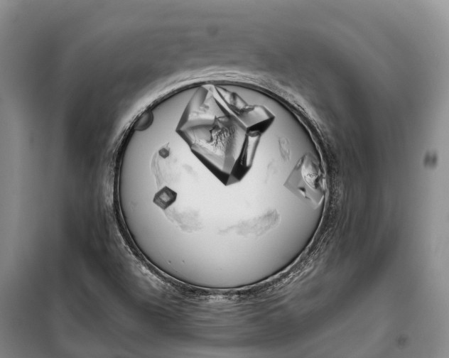 X0000100221504200806131303