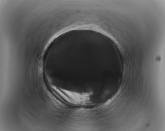 X0000100221506200806131303