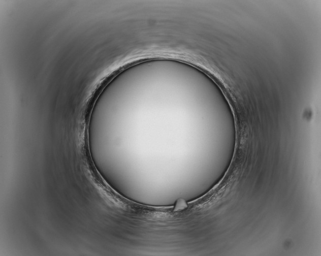 X0000100221507200806131303